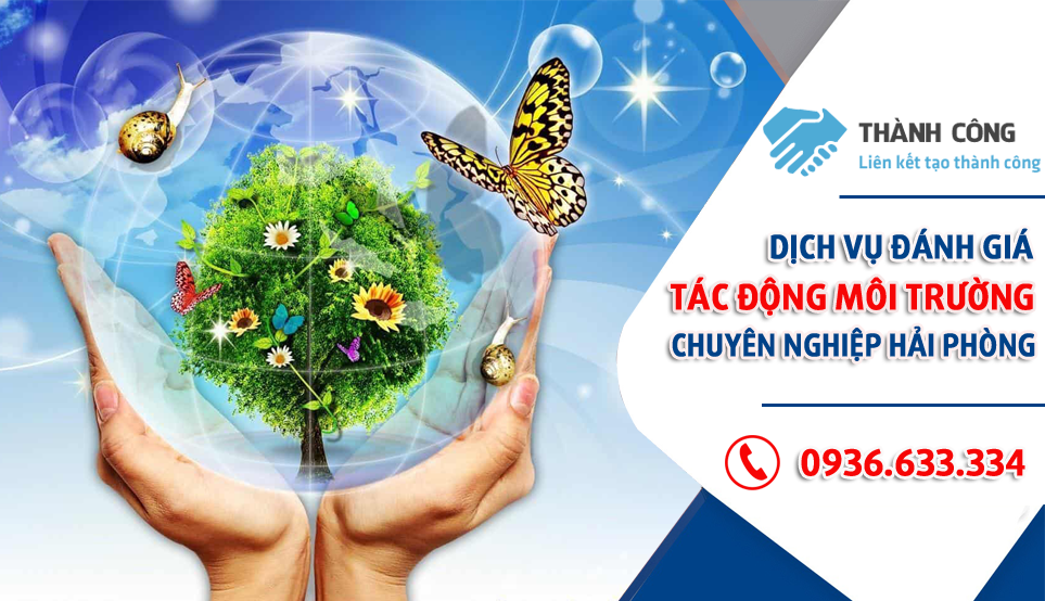 Dịch vụ đánh giá tác động môi trường(DTM) chuyên nghiệp tại Hải Phòng